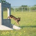 Peace Officers Memorial Day K9 Competition