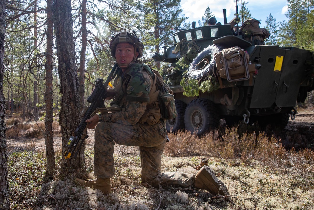 2nd Light Armored Reconnaissance Force-on-Force Training during Arrow 19, Finland