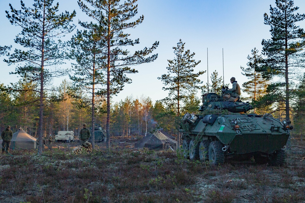 2nd Light Armored Reconnaissance Force-on-Force Training during Arrow 19, Finland