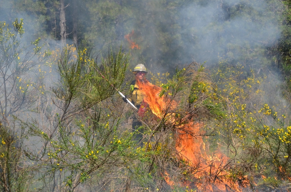 Fighting fire with fire