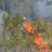 Fighting fire with fire