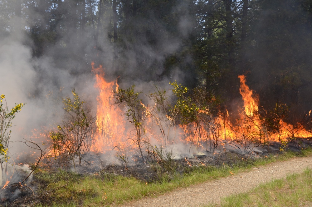 Fighting fire with fire on Joint Base Lewis-McChord