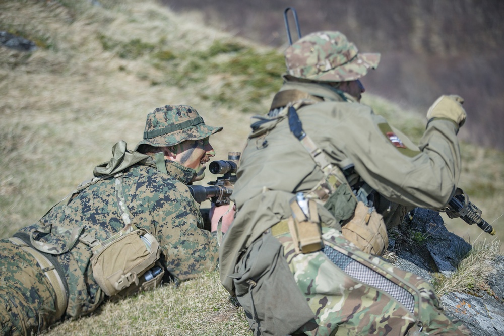 U.S. Marines, Norwegian Coastal Ranger Commando Insert for Final Mission Platinum Ren 2019