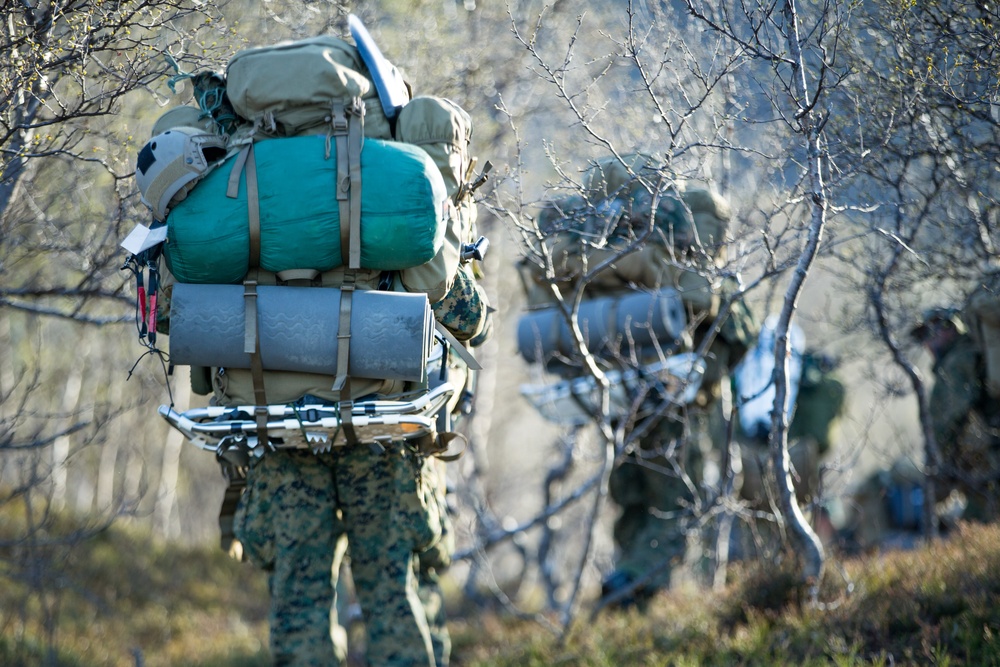 U.S. Marines, Norwegian Coastal Ranger Commando Insert for Final Mission Platinum Ren 2019