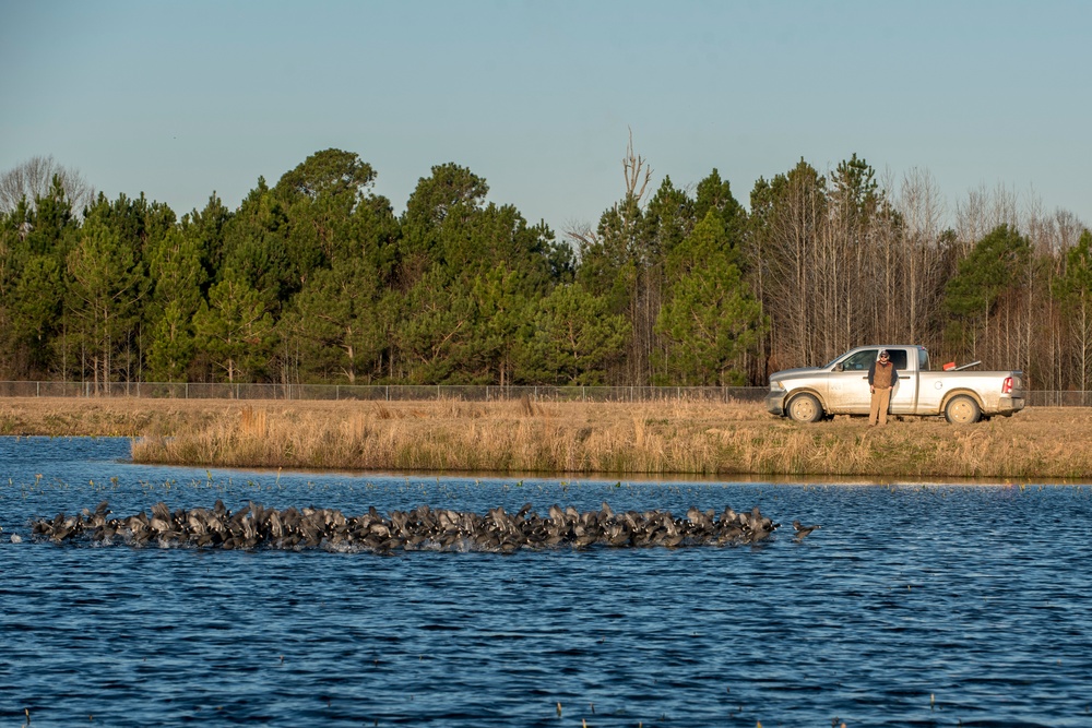 USDA program enhances flight safety at 4 FW