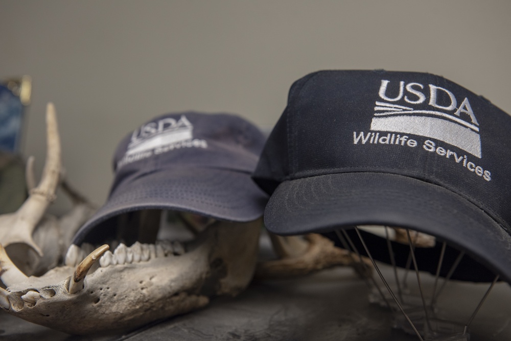 USDA program enhances flight safety at 4 FW