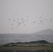 Turkish paratroopers descend to ground