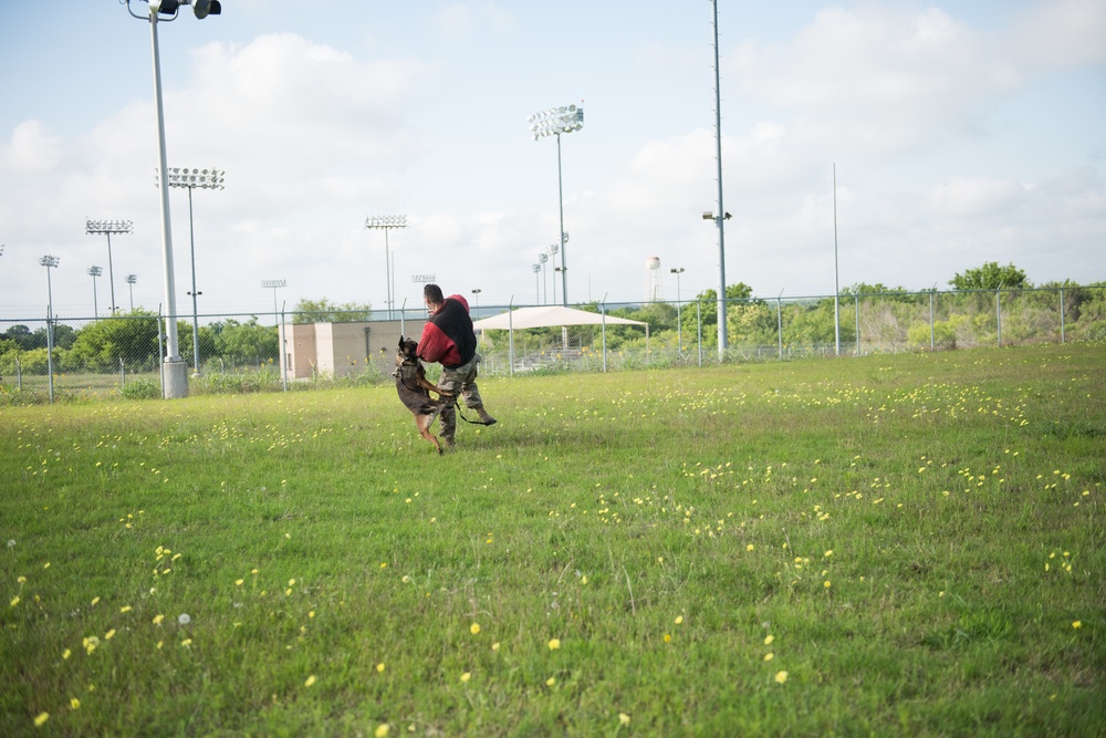 Peace Officers Memorial Day K9 Competition