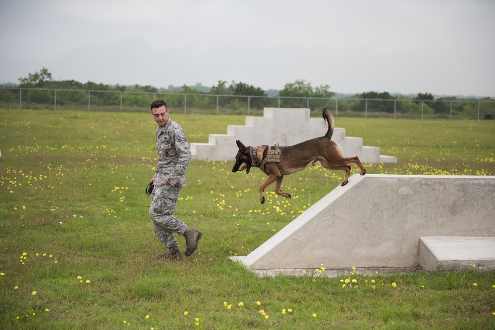 Peace Officers Memorial Day K9 Competition