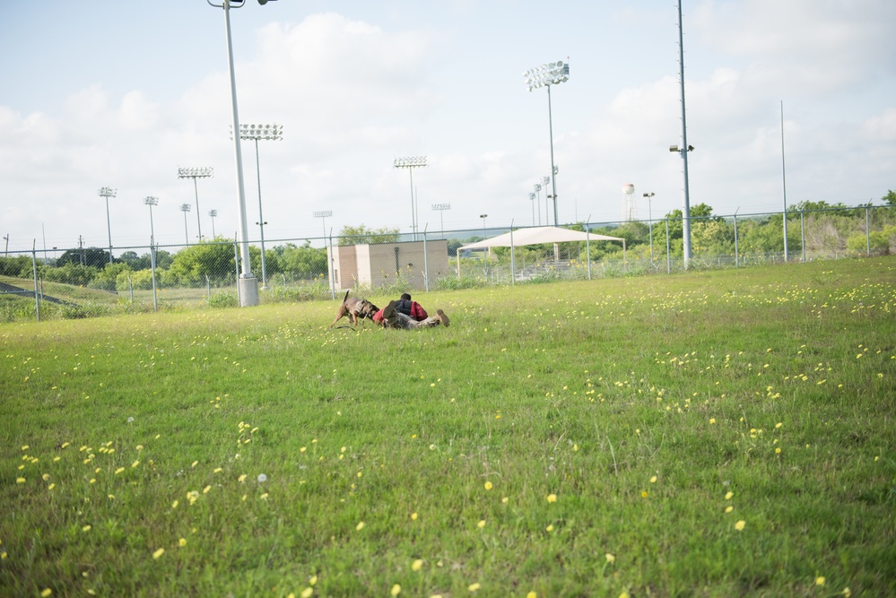 Peace Officers Memorial Day K9 Competition