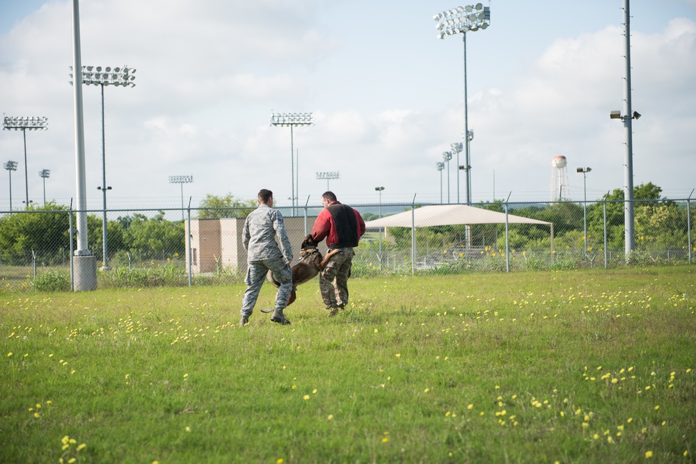 Peace Officers Memorial Day K9 Competition