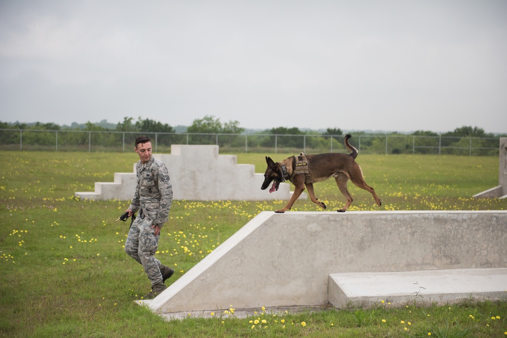 Peace Officers Memorial Day K9 Competition