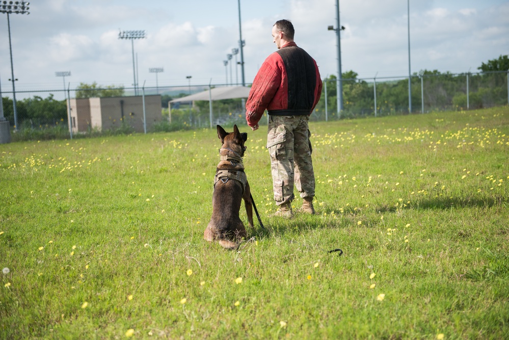 Peace Officers Memorial Day K9 Competition