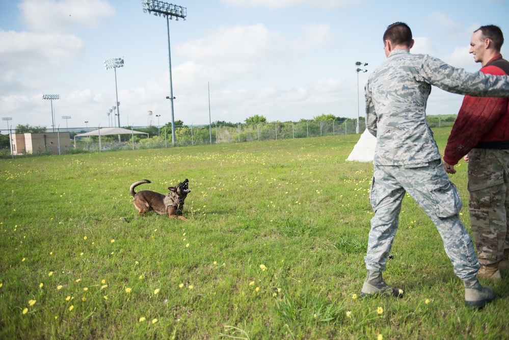 Peace Officers Memorial Day K9 Competition