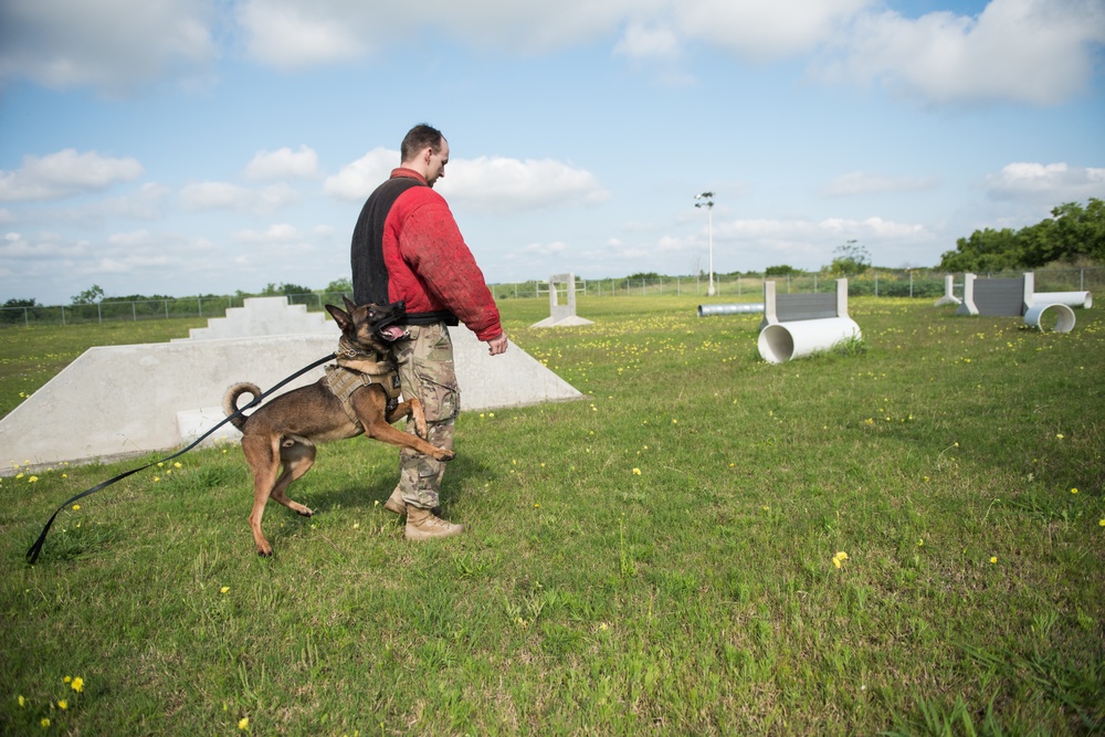 Peace Officers Memorial Day K9 Competition