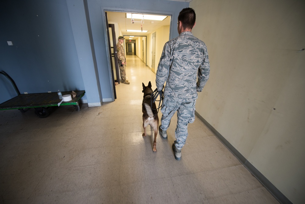 Peace Officers Memorial Day K9 Competition