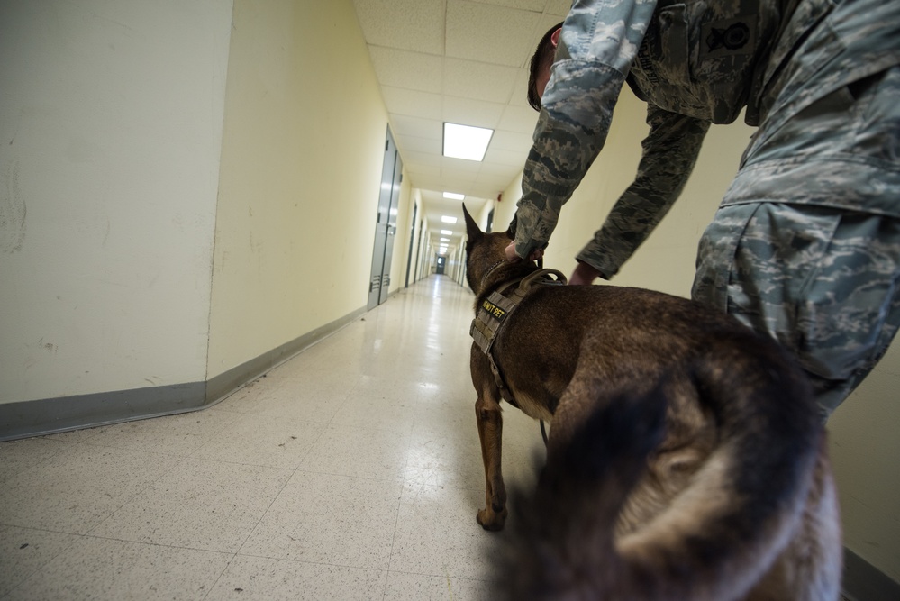 Peace Officers Memorial Day K9 Competition