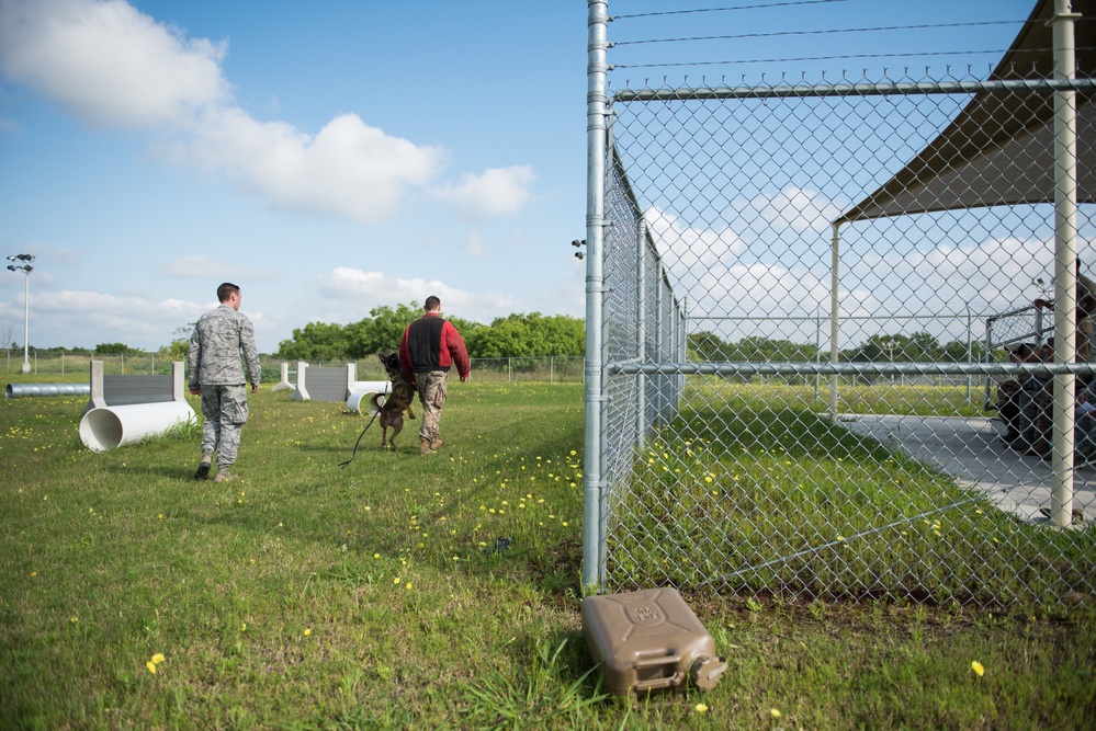 Peace Officers Memorial Day K9 Competition