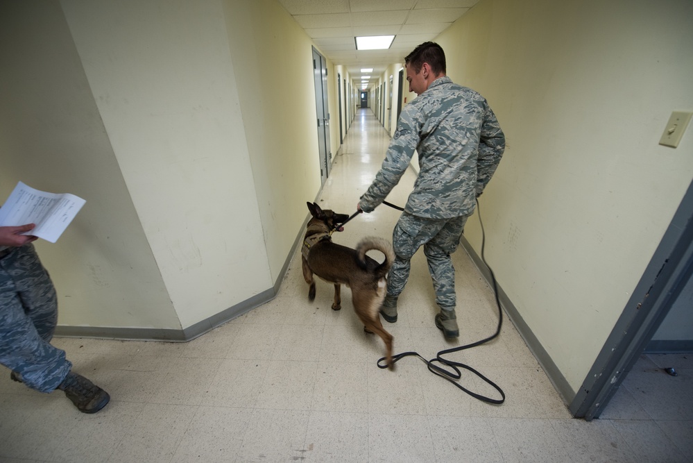 Peace Officers Memorial Day K9 Competition