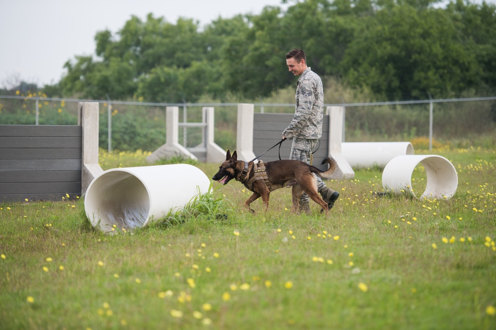 Peace Officers Memorial Day K9 Competition