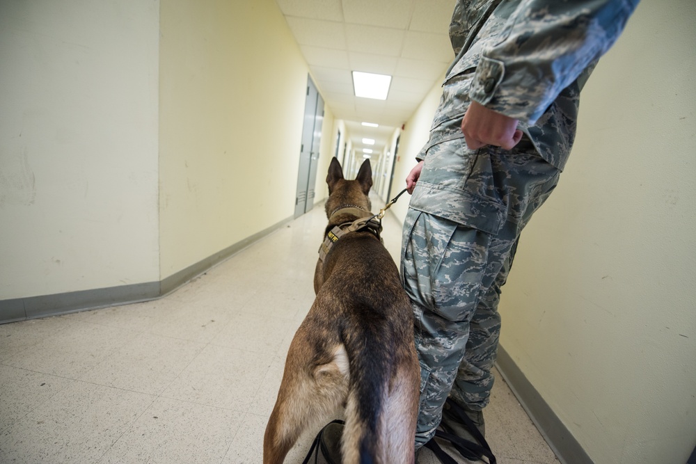 Peace Officers Memorial Day K9 Competition