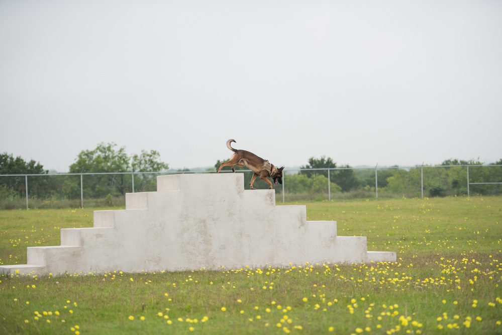 Peace Officers Memorial Day K9 Competition