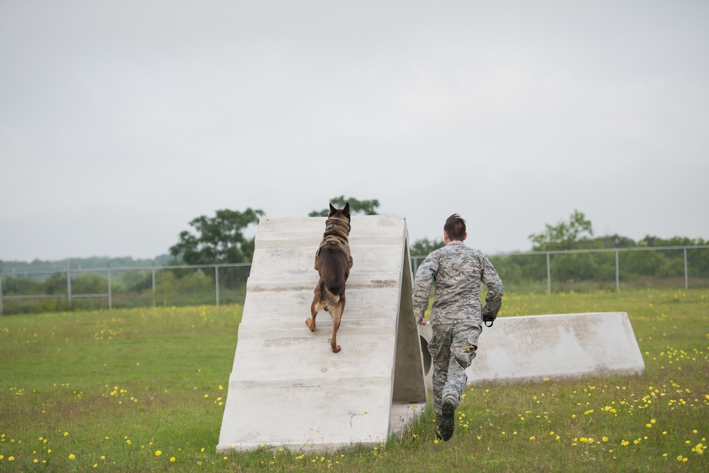 Peace Officers Memorial Day K9 Competition