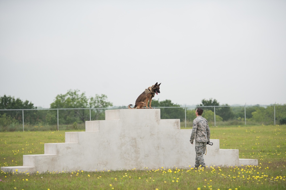 Peace Officers Memorial Day K9 Competition