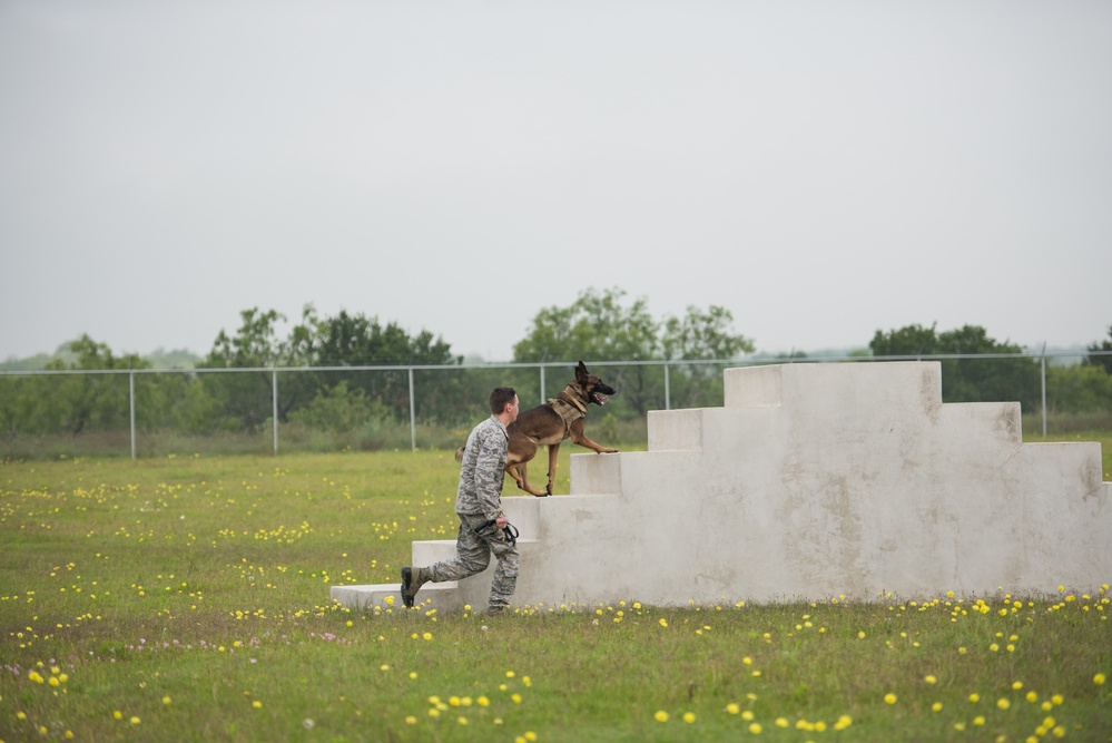 Peace Officers Memorial Day K9 Competition