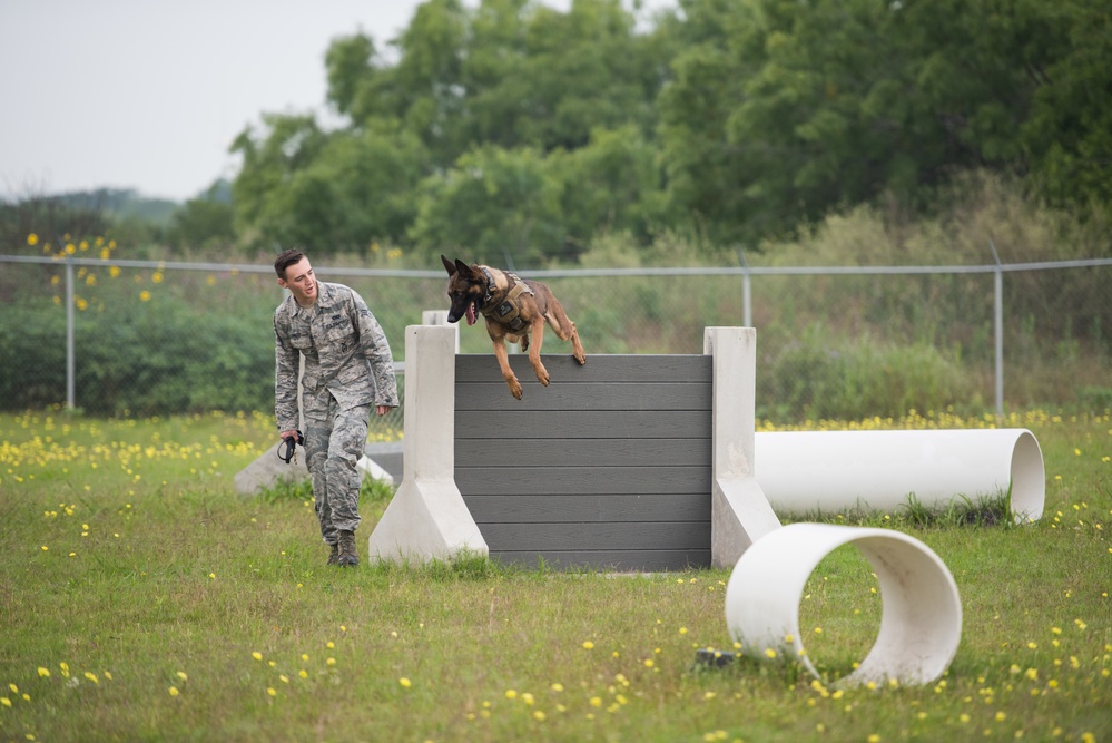 Peace Officers Memorial Day K9 Competition