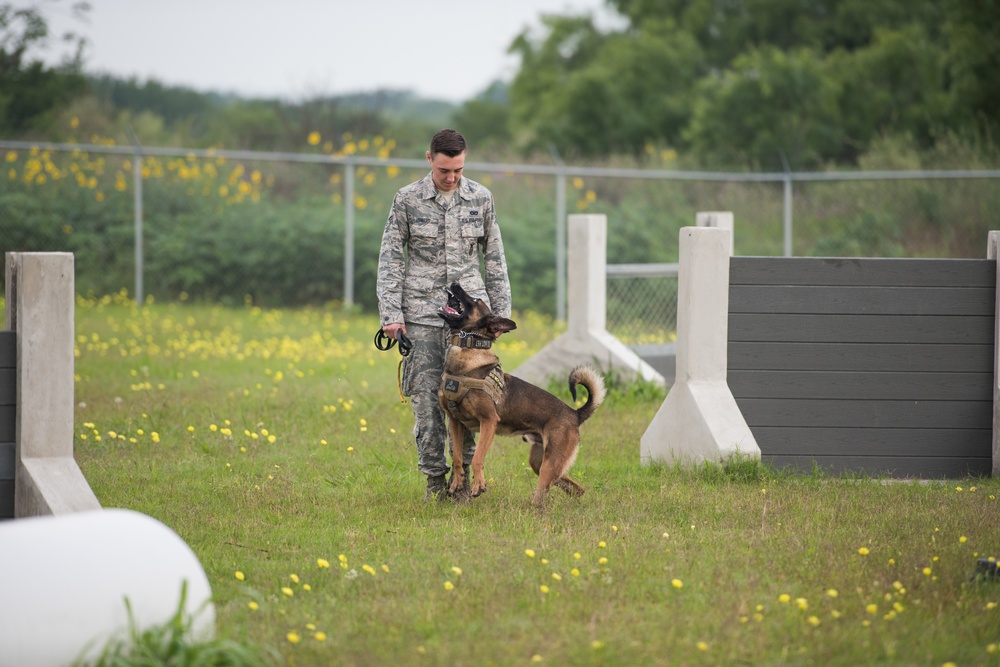 Peace Officers Memorial Day K9 Competition