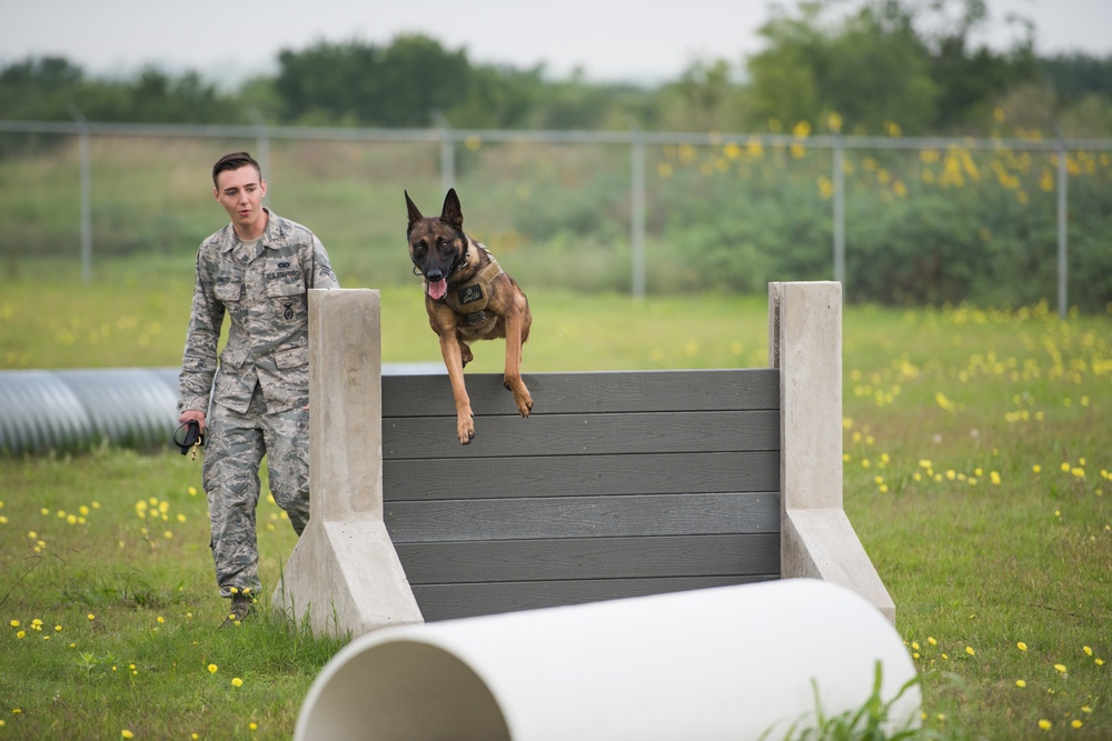 Peace Officers Memorial Day K9 Competition