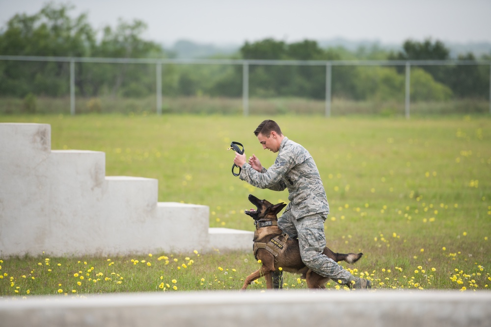 Peace Officers Memorial Day K9 Competition