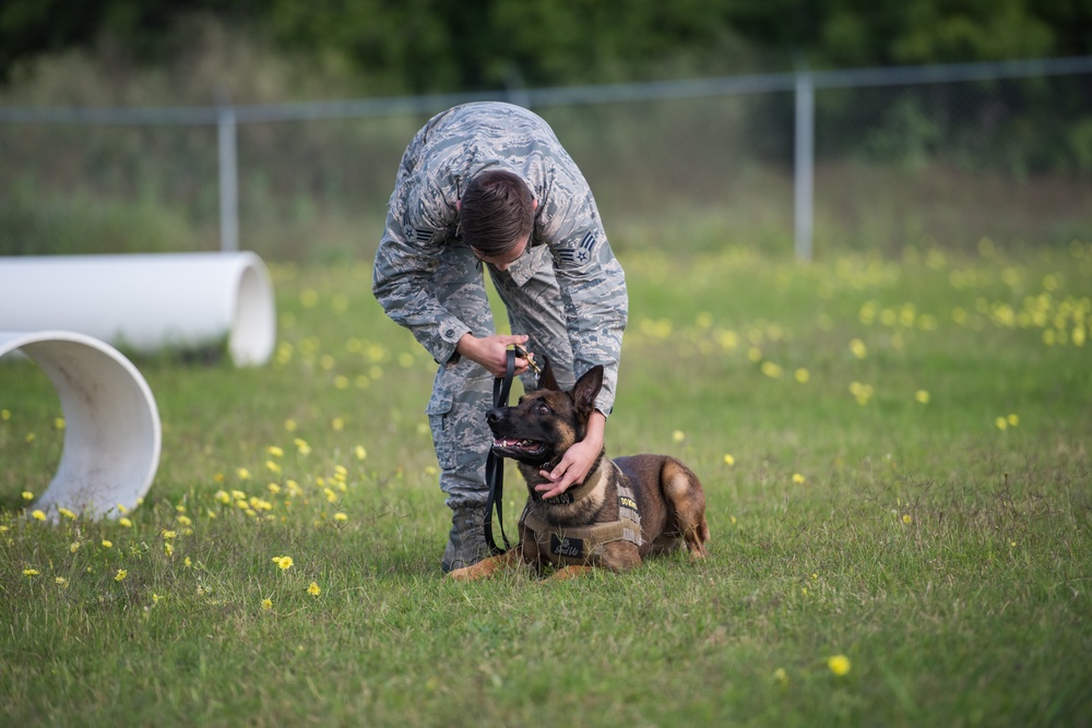 Peace Officers Memorial Day K9 Competition