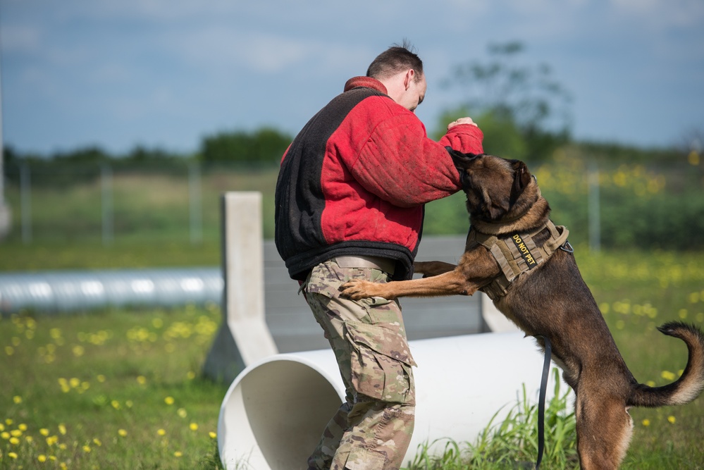 Peace Officers Memorial Day K9 Competition