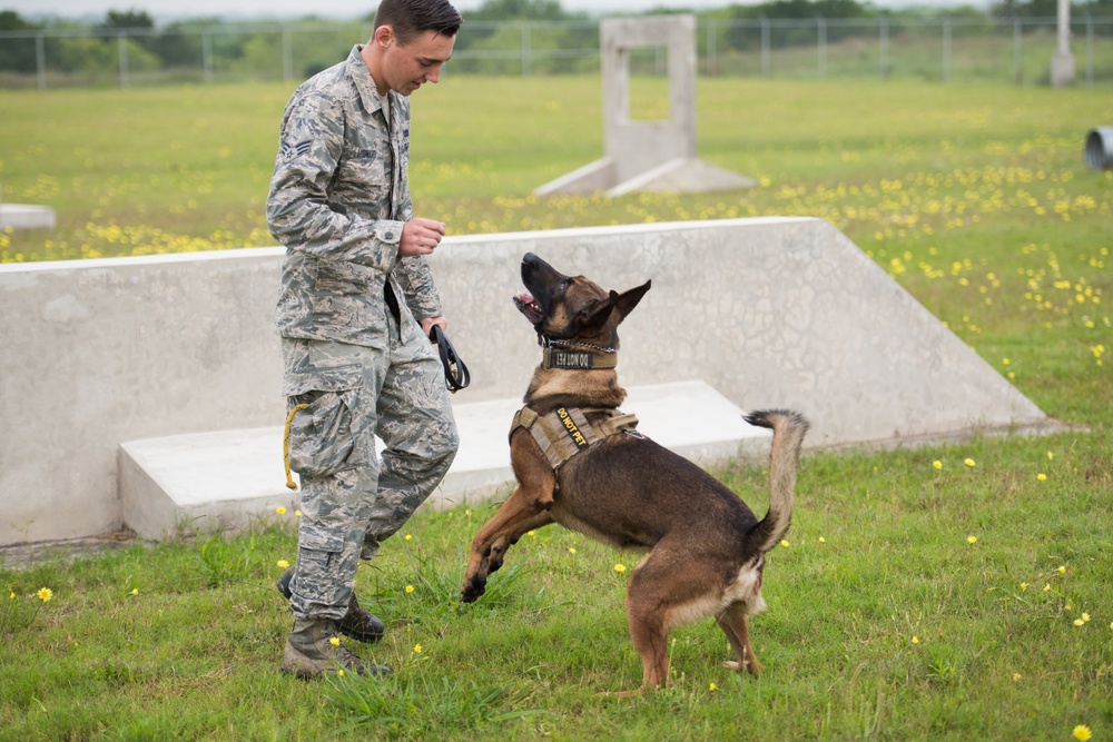 Peace Officers Memorial Day K9 Competition