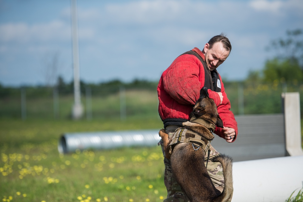 Peace Officers Memorial Day K9 Competition