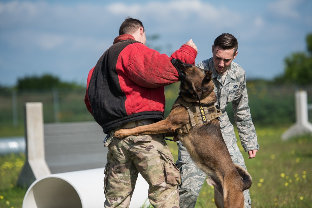 Peace Officers Memorial Day K9 Competition