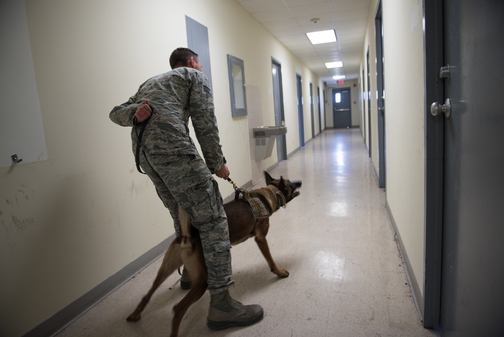 Peace Officers Memorial Day K9 Competition