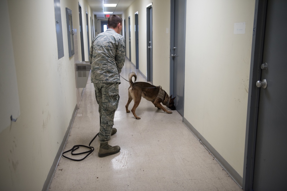 Peace Officers Memorial Day K9 Competition