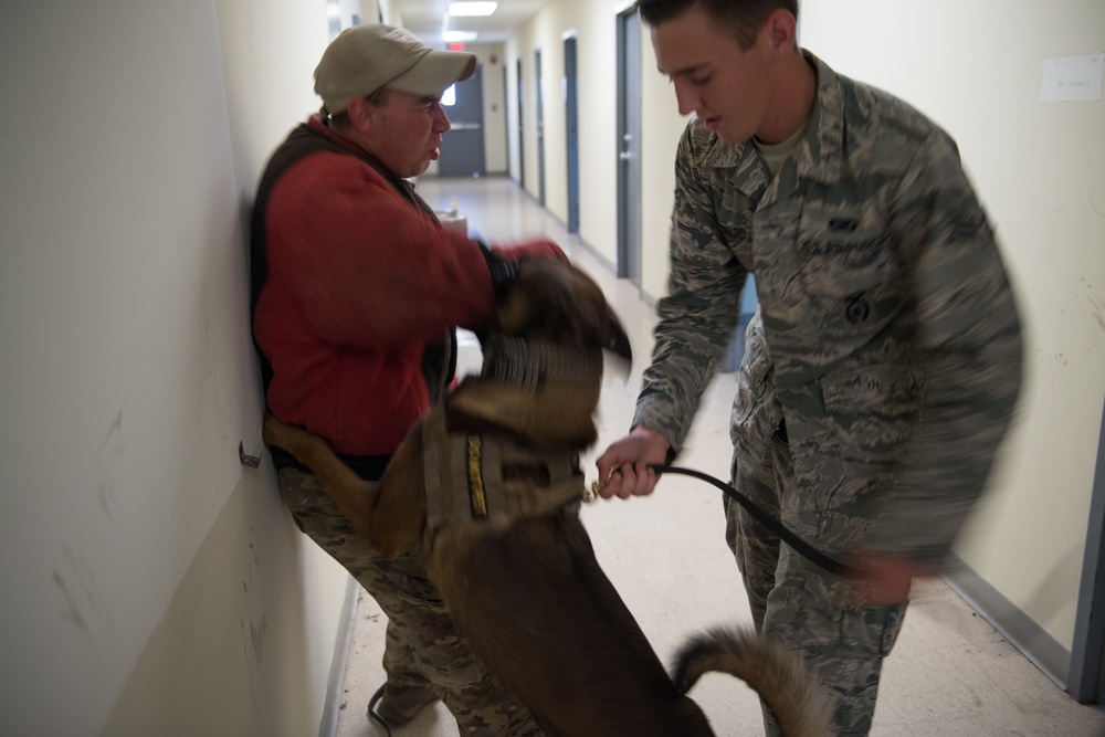 Peace Officers Memorial Day K9 Competition