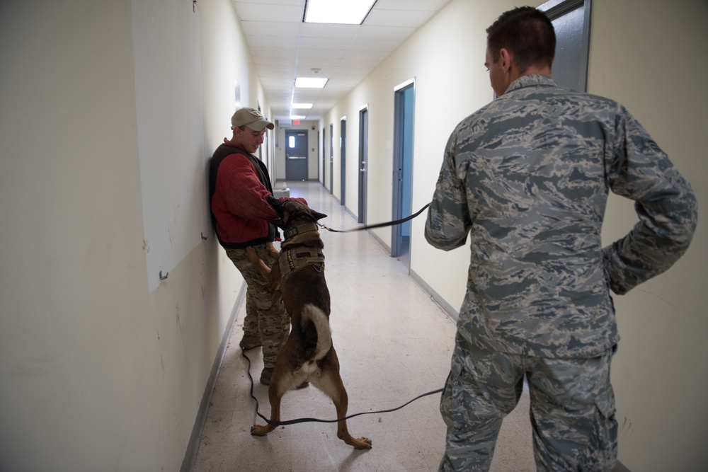 Peace Officers Memorial Day K9 Competition