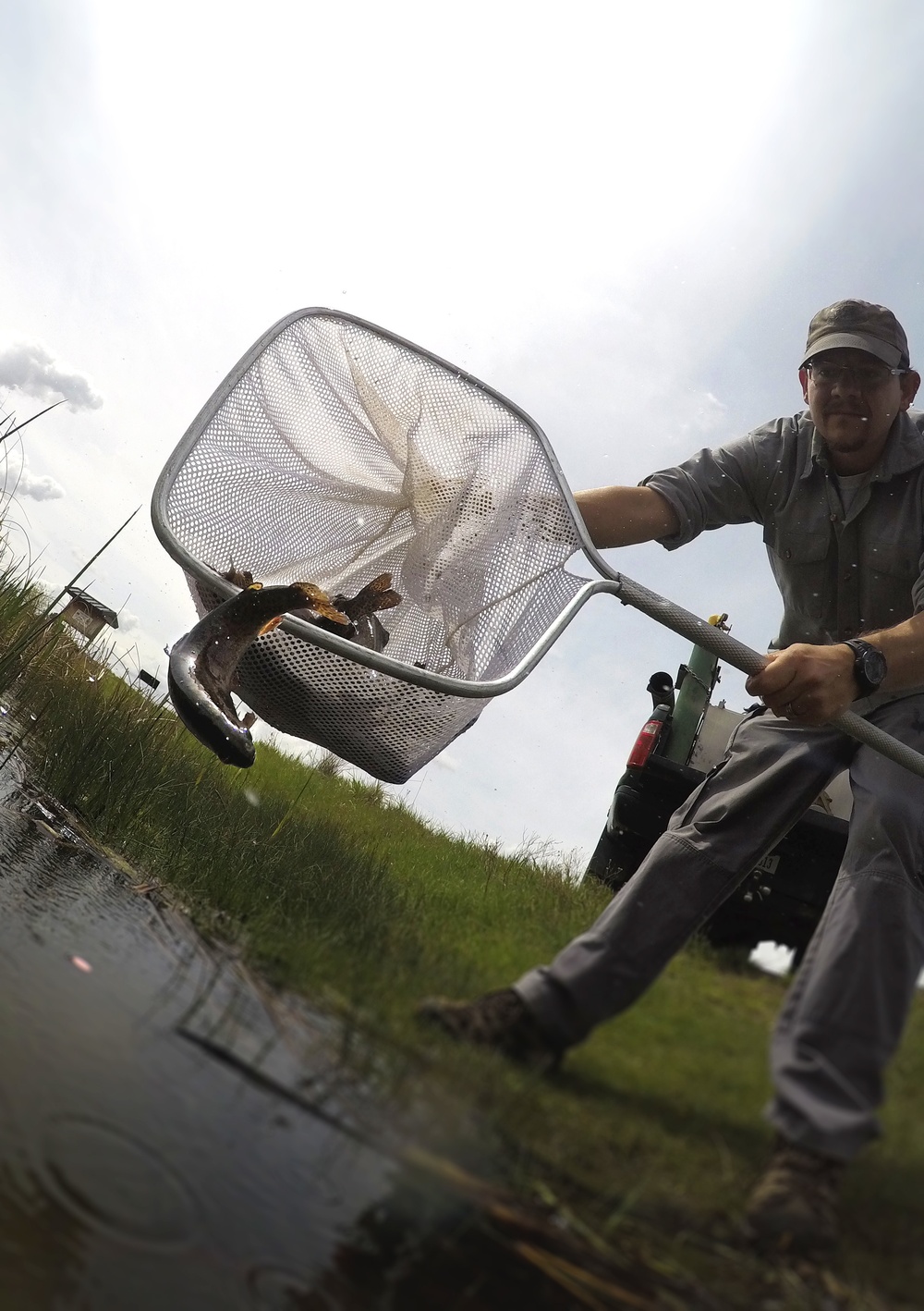 Something’s fishy at Powwow Pond