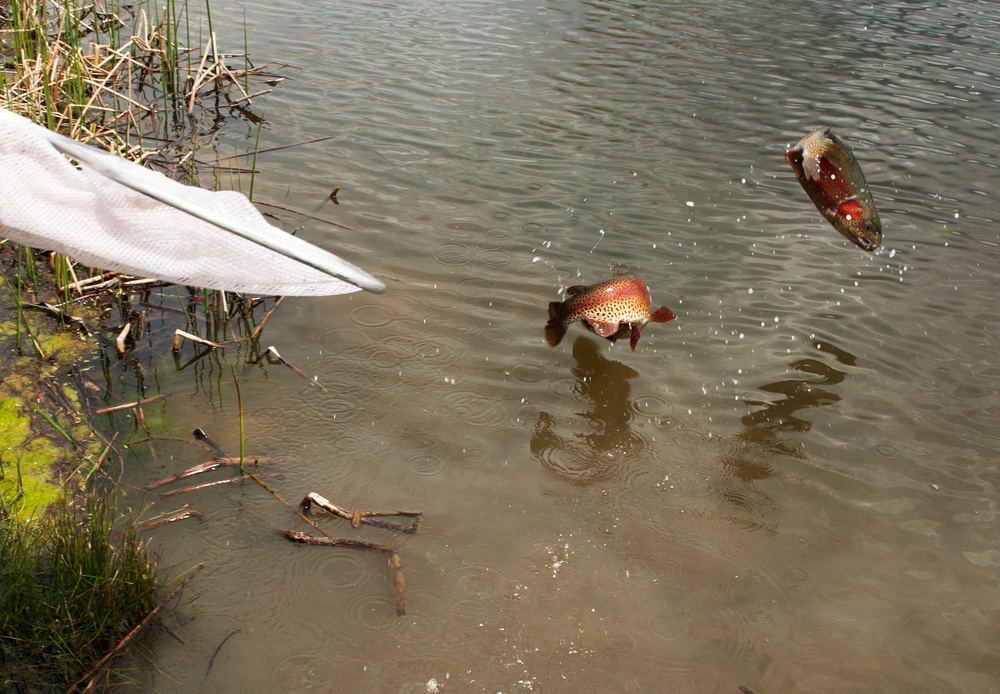 Something’s fishy at Powwow Pond