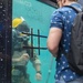 Times Square Dive Tank