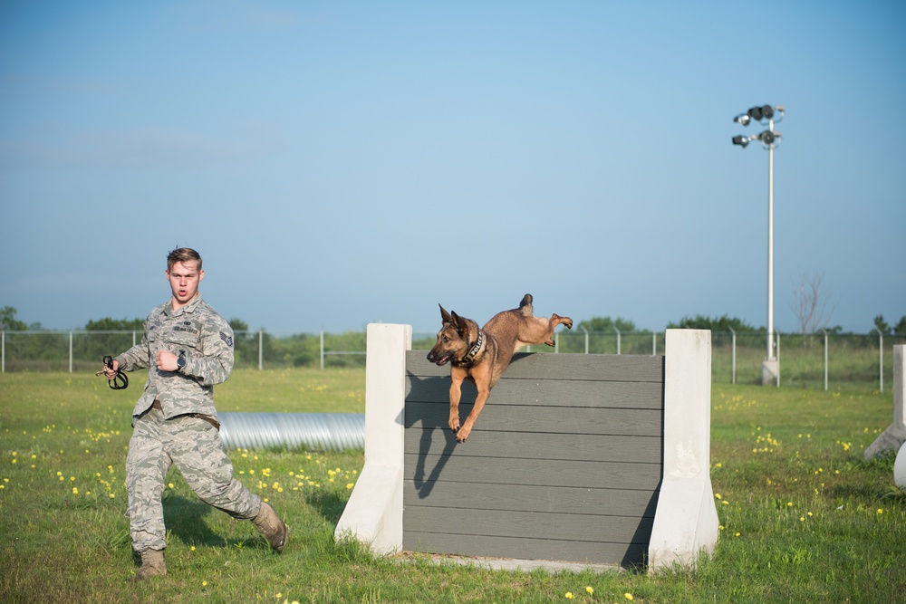 Peace Officers Memorial Day K9 Competition