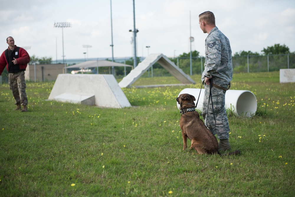 Peace Officers Memorial Day K9 Competition