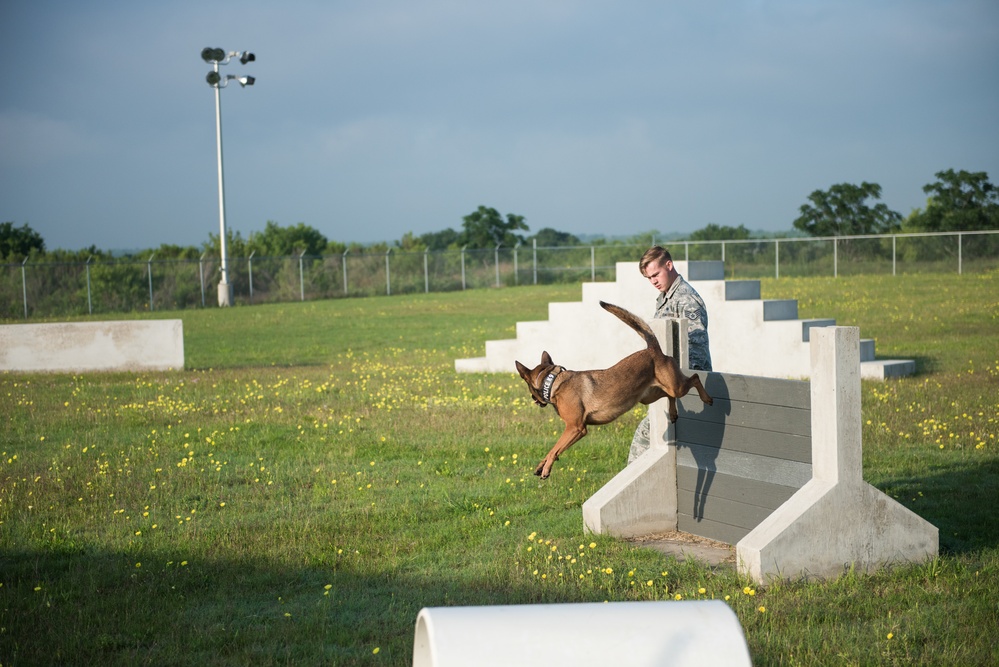 Peace Officers Memorial Day K9 Competition