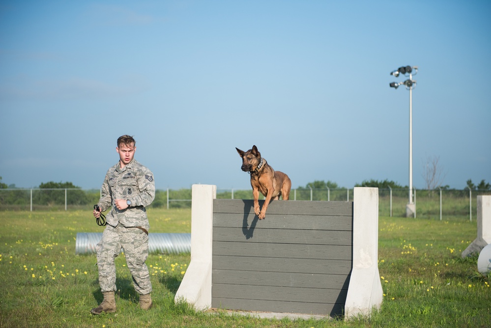 Peace Officers Memorial Day K9 Competition