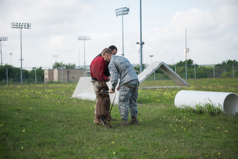 Peace Officers Memorial Day K9 Competition